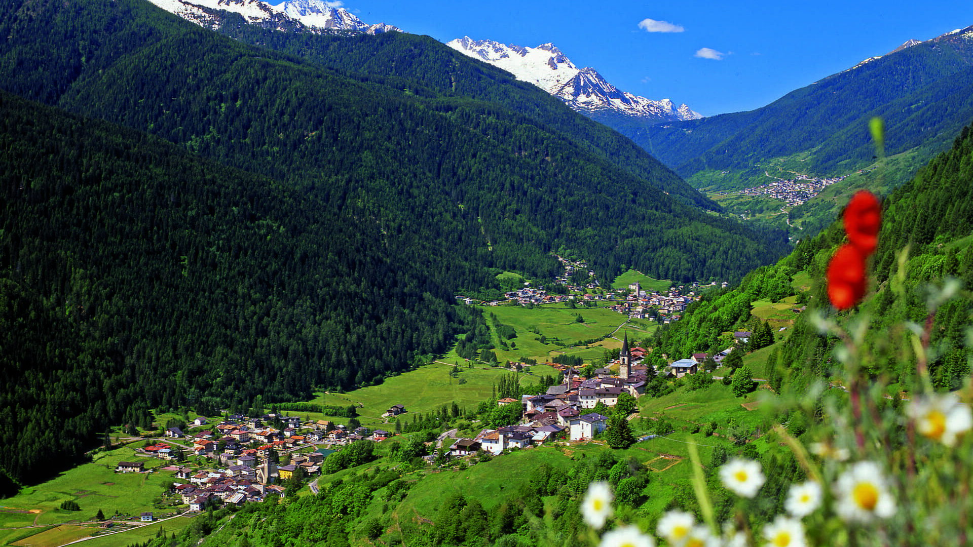 Val di Sole ph G Bernardi