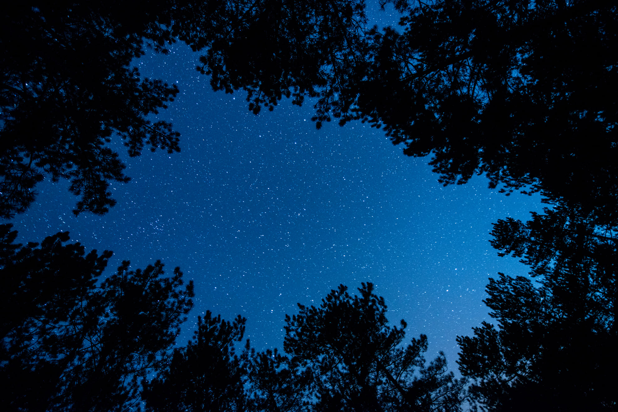 Cielo stellato trekking team building